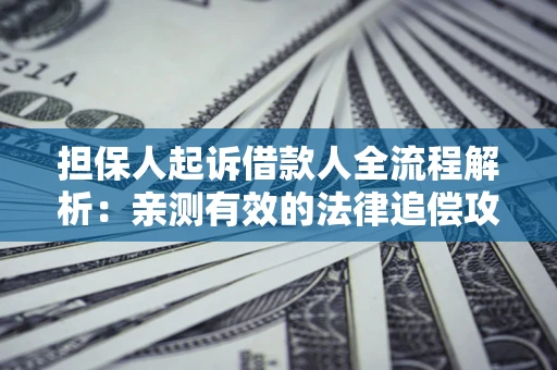 武汉担保人起诉借款人全流程解析：亲测有效的法律追偿攻略