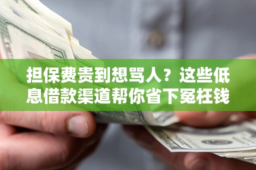 武汉担保费贵到想骂人？这些低息借款渠道帮你省下冤枉钱