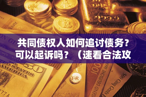 武汉共同债权人如何追讨债务？可以起诉吗？（速看合法攻略）
