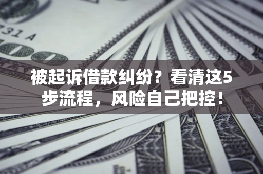 武汉被起诉借款纠纷？看清这5步流程，风险自己把控！